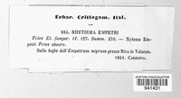 Duplicaria empetri image